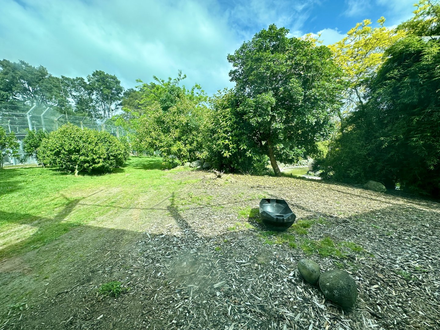 Sumatran Tiger Exhibit (Large)