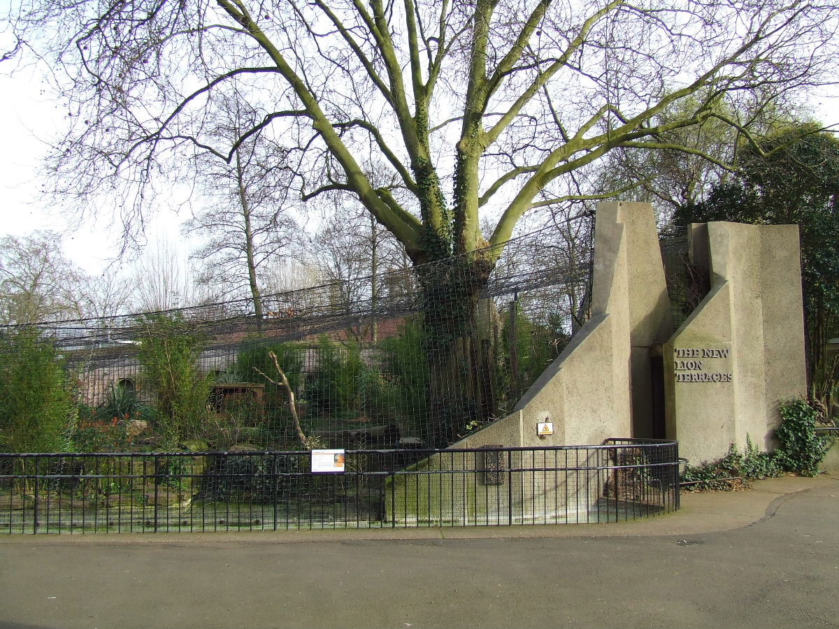 Sumatran Tiger exhibit, Lion Terraces