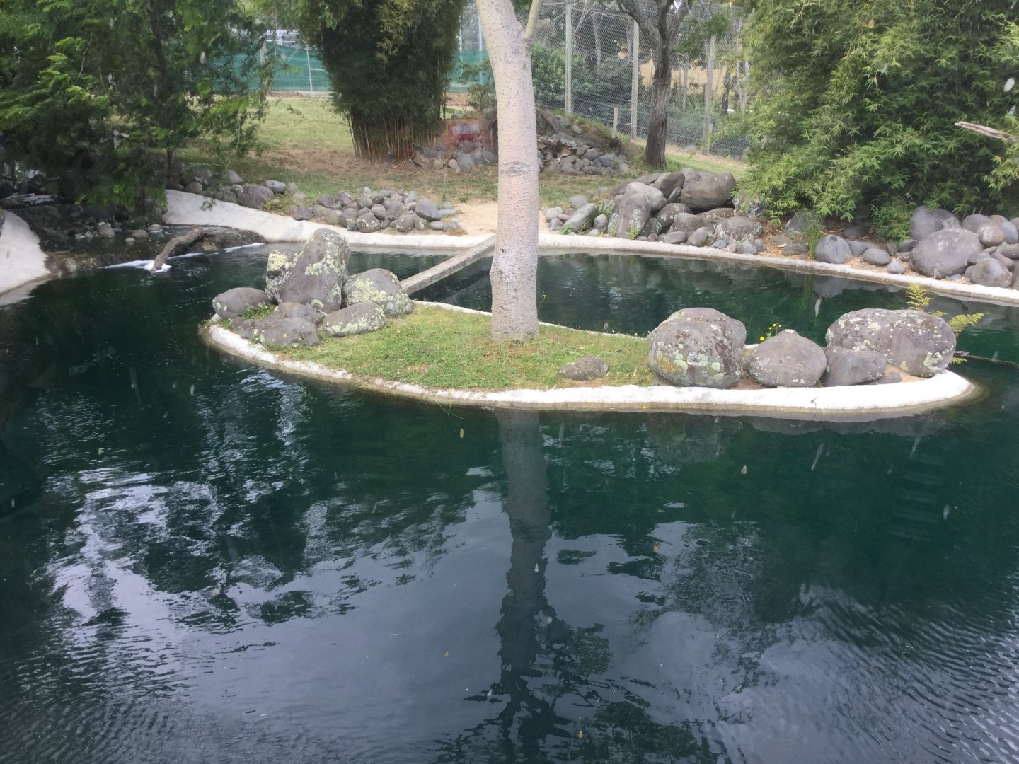 Sumatran Tiger Exhibit (Main Exhibit)