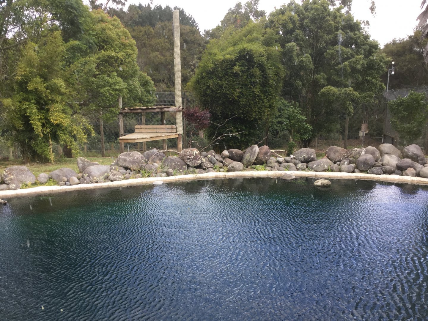 Sumatran Tiger Exhibit (Main Exhibit)