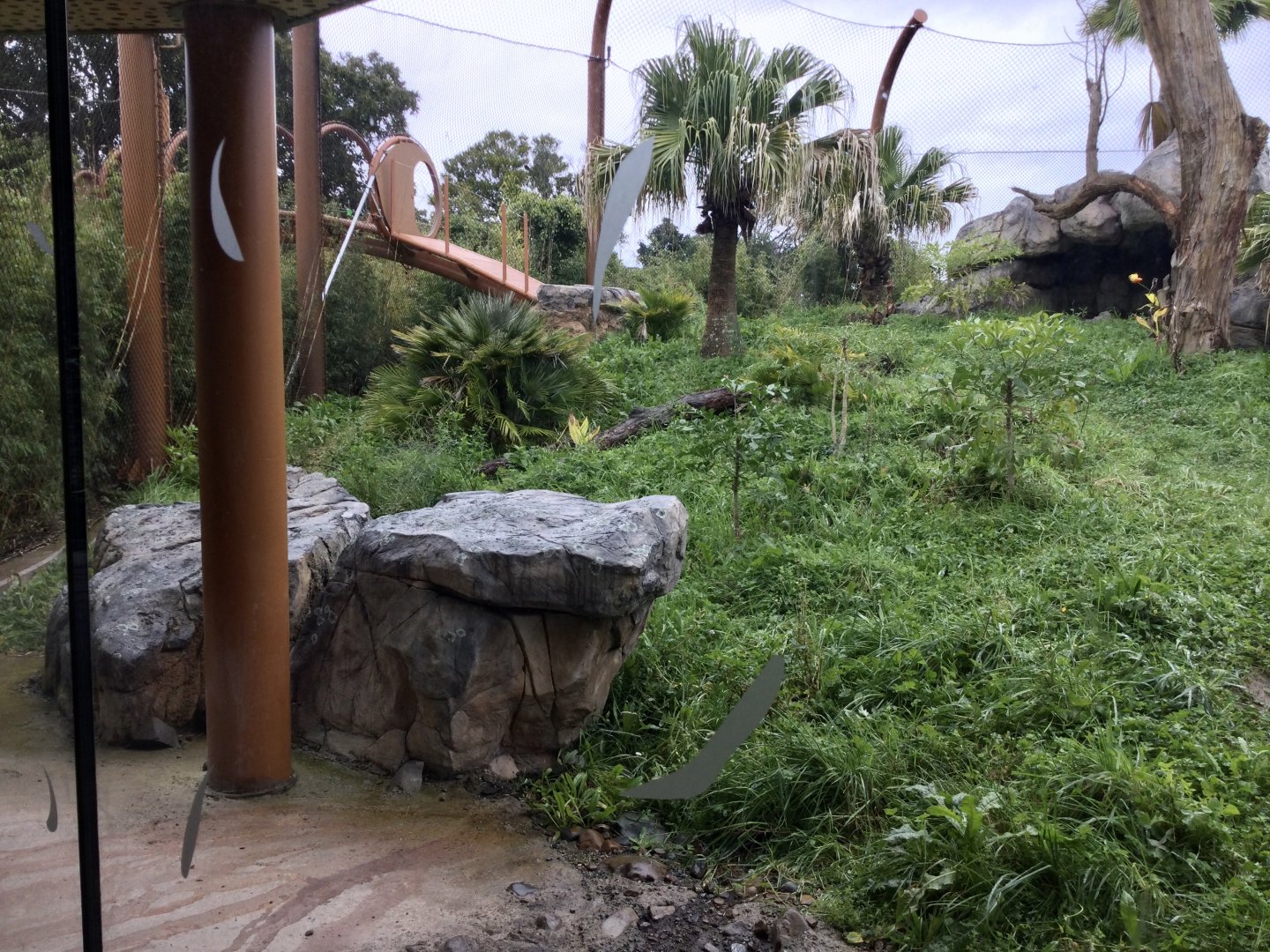 Sumatran Tiger Exhibit (Medium) - Overhead Tunnel Open