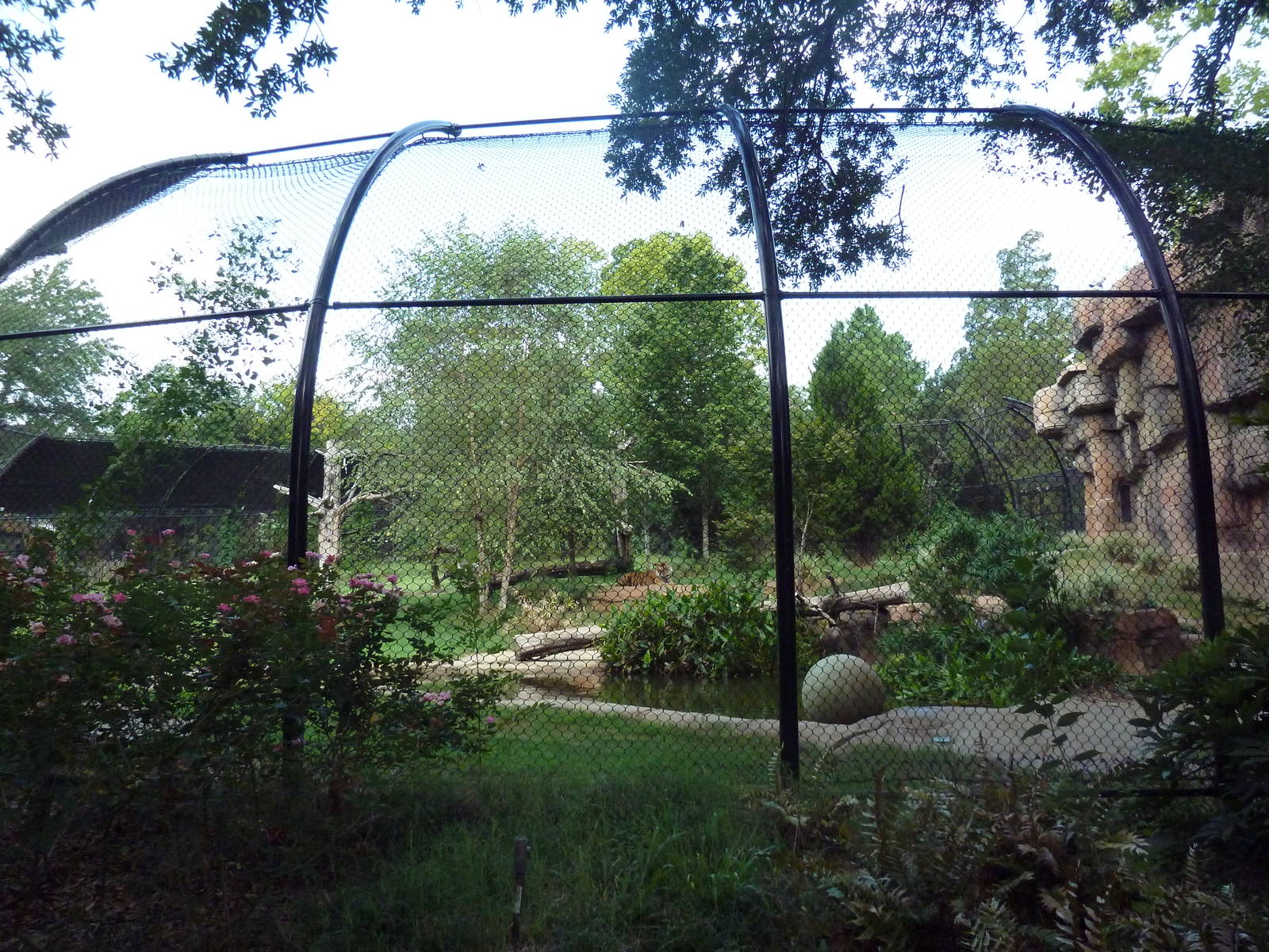 Sumatran Tiger Exhibit (New in 2010)
