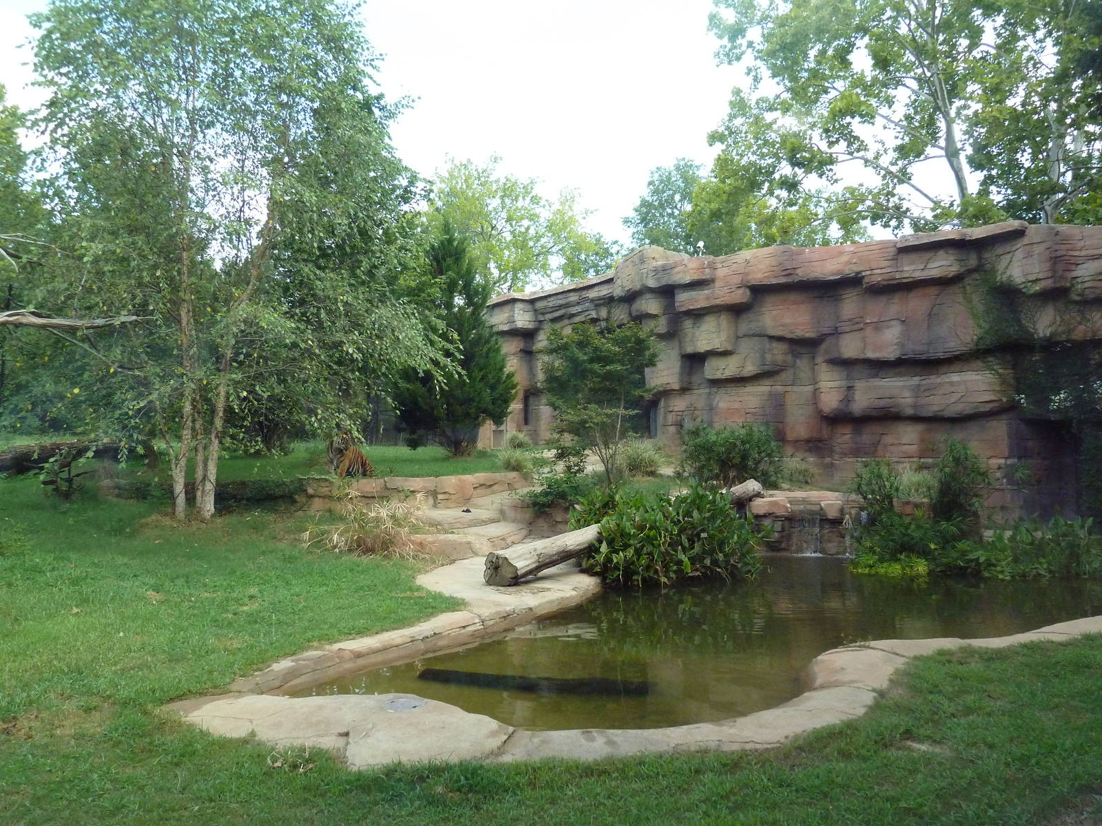 Sumatran Tiger Exhibit (New in 2010)