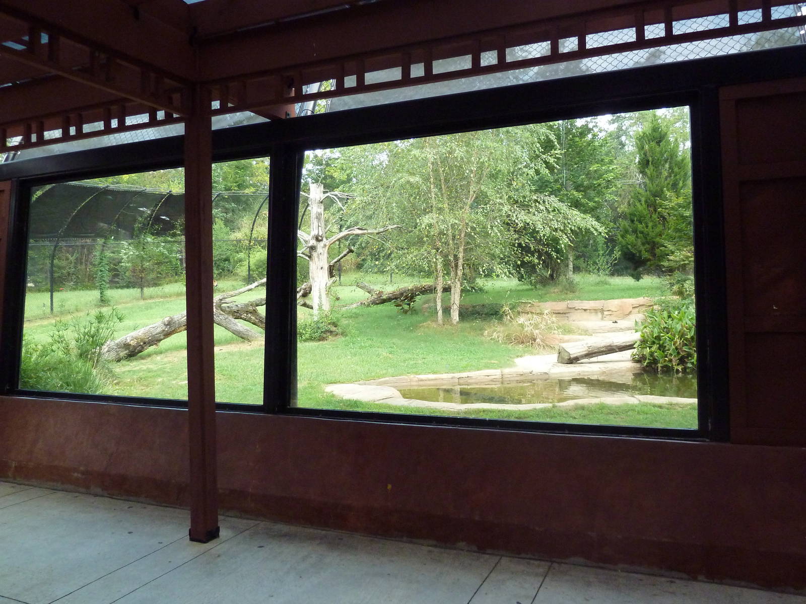 Sumatran Tiger Exhibit (New in 2010)