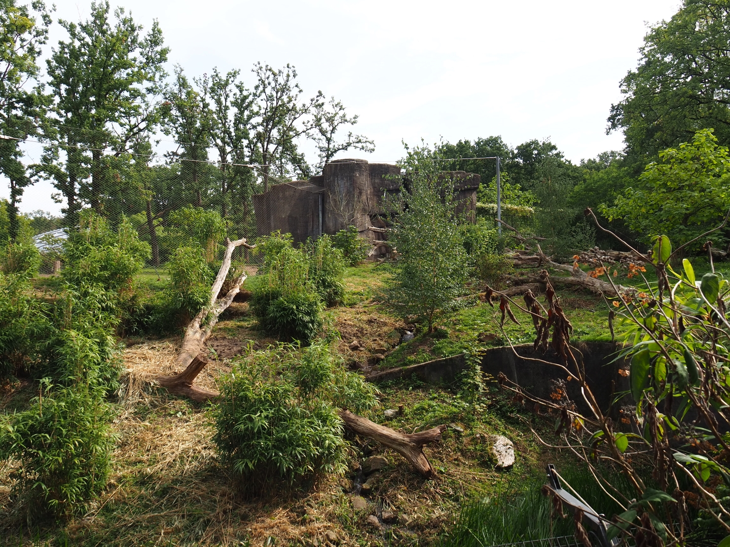 Sumatran tiger exhibit (Sep 16th, 2018)