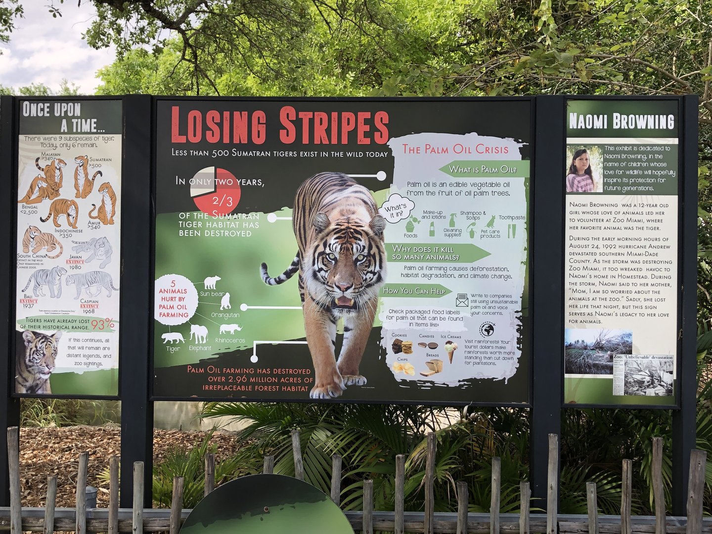 Sumatran Tiger Exhibit Sign