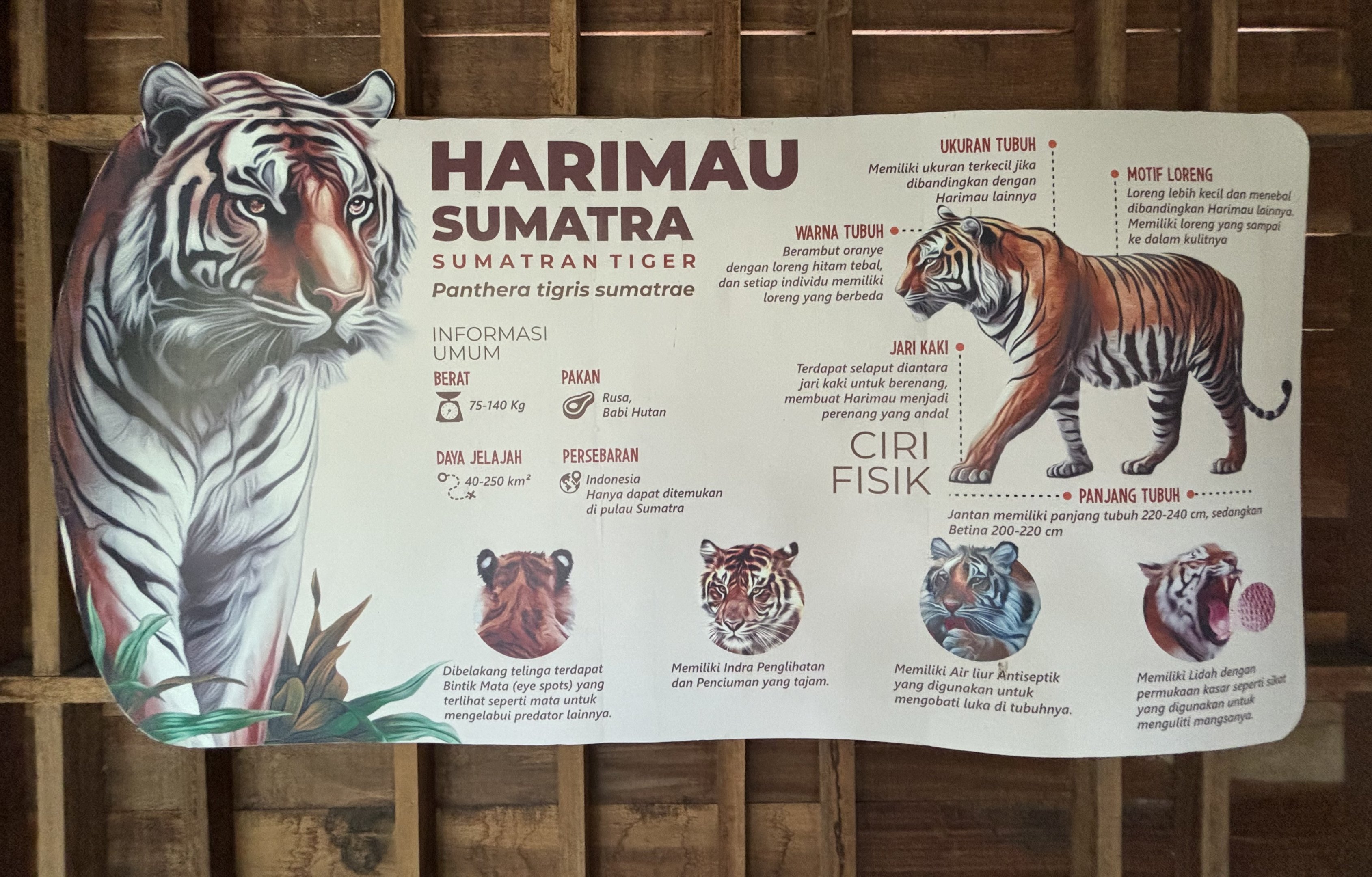 Sumatran Tiger Exhibit Sign