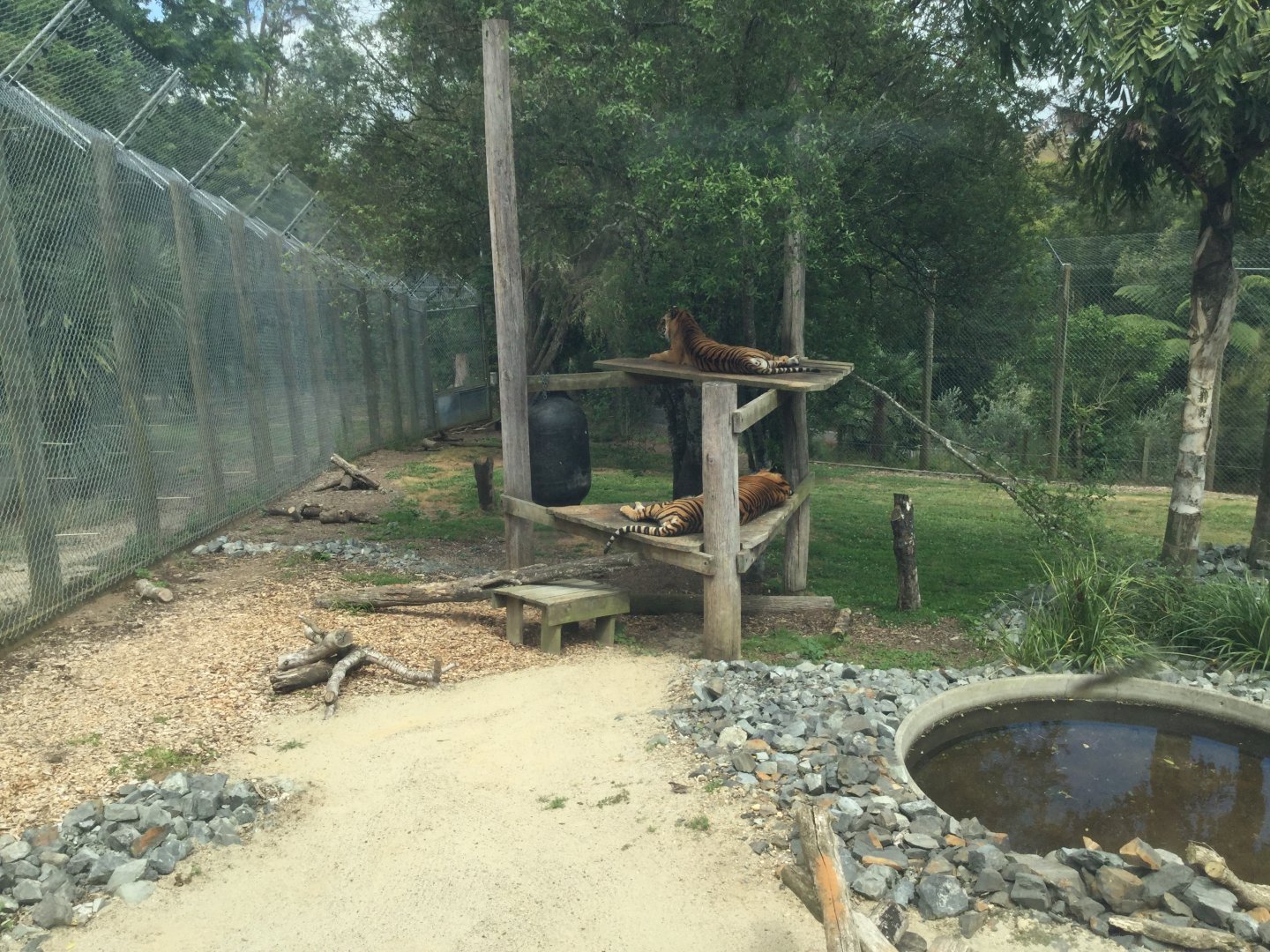 Sumatran Tiger Exhibit (Small Exhibit)