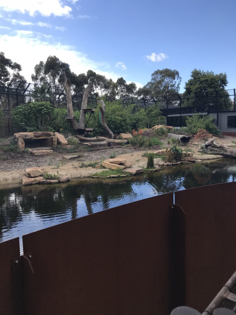 Sumatran tiger exhibit( snow leopard ridge)