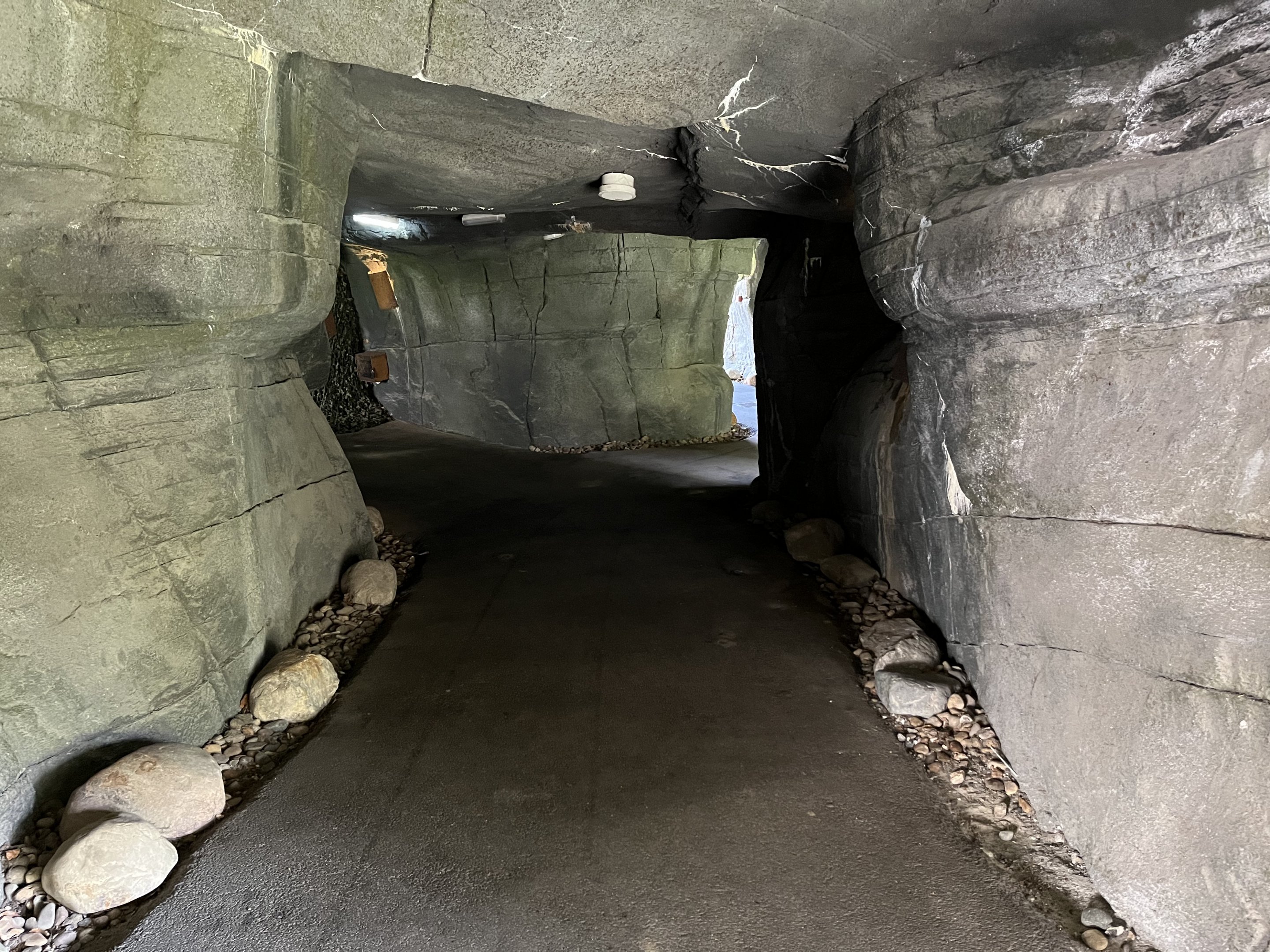 Sumatran Tiger Exhibit - tunnel