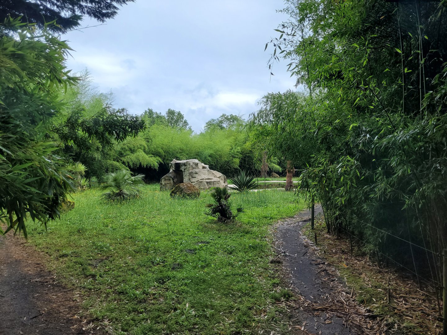 Sumatran tiger exhibit -Zoo du bassin d'Arcachon (2024)