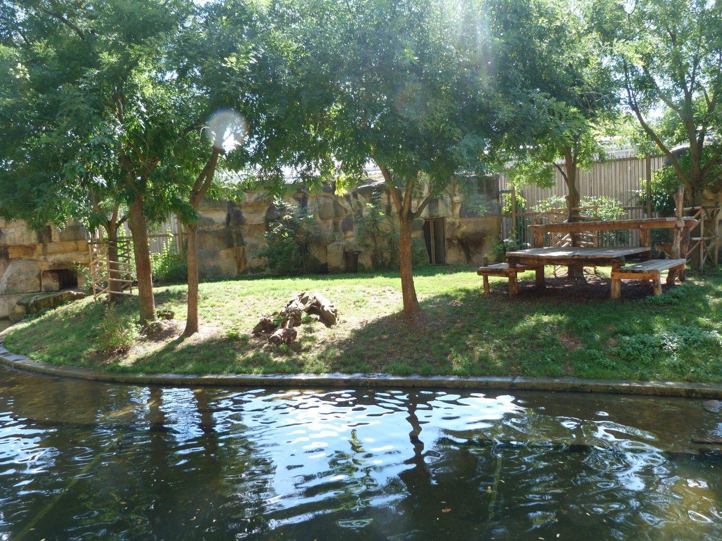 Sumatran tiger exhibit -Zoo Praha (2025)