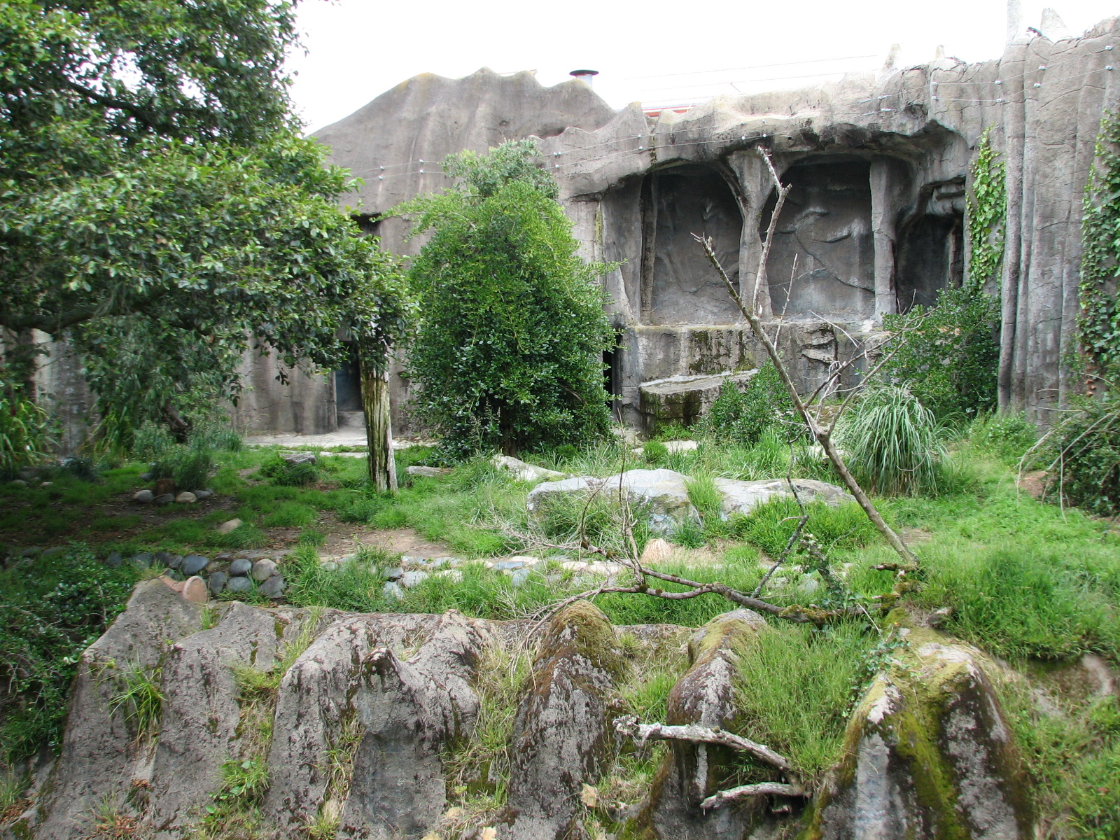 Sumatran Tiger Exhibit