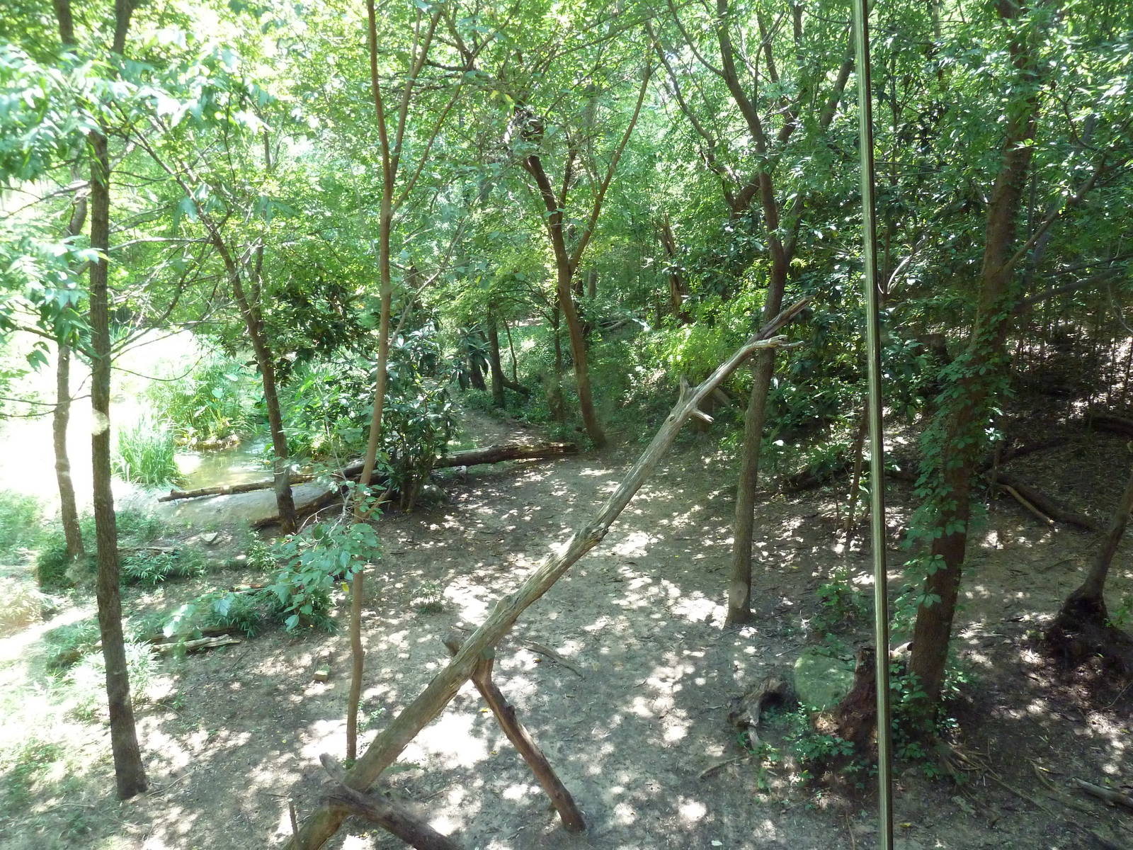 Sumatran Tiger Exhibit