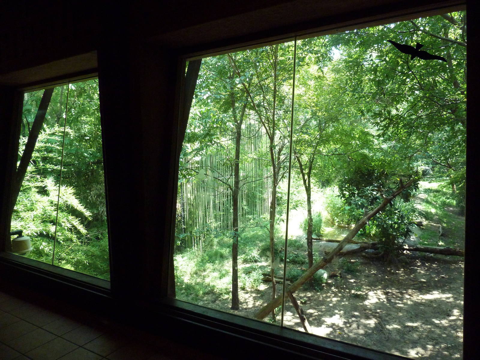 Sumatran Tiger Exhibit