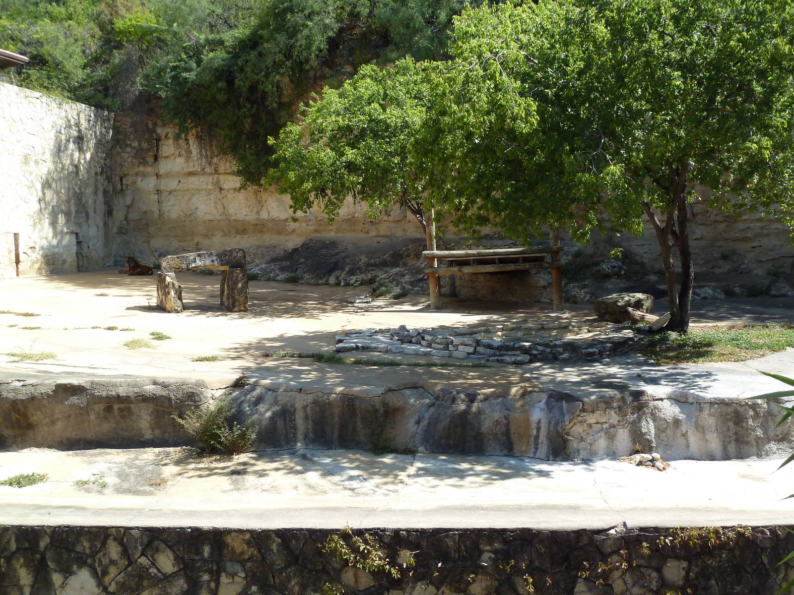 Sumatran Tiger Exhibit