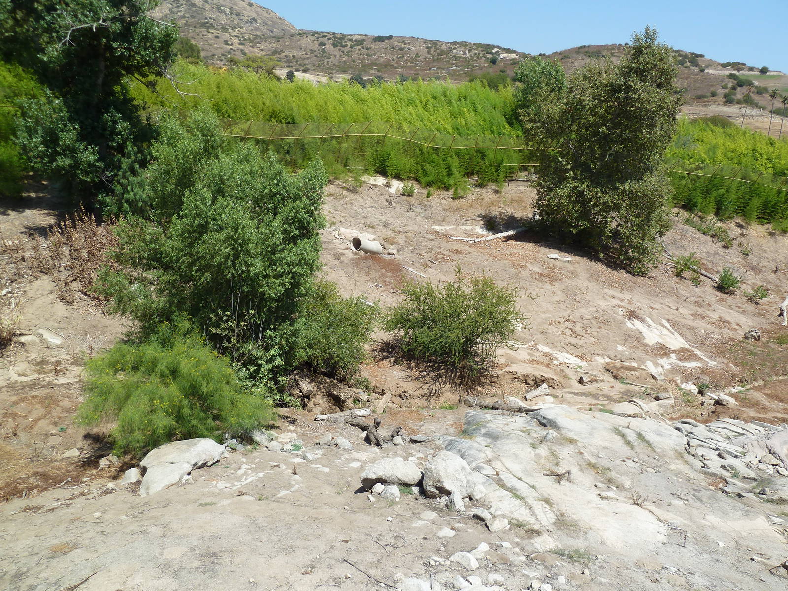 Sumatran Tiger Exhibit