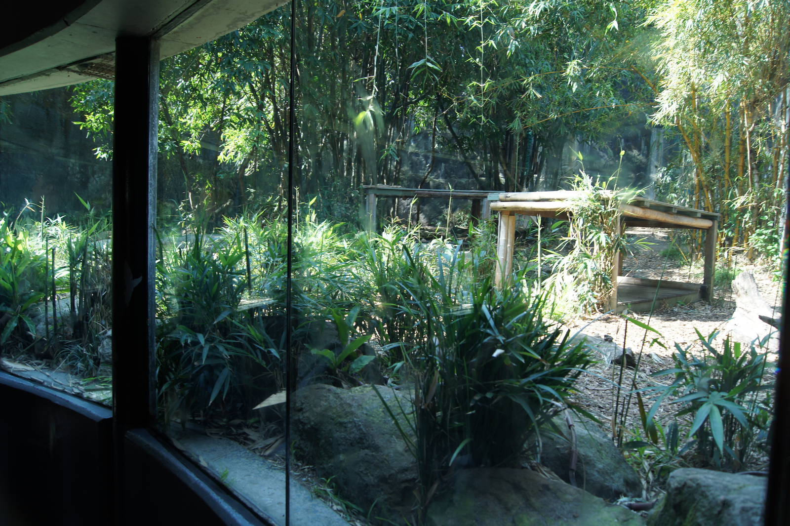 Sumatran Tiger Exhibit