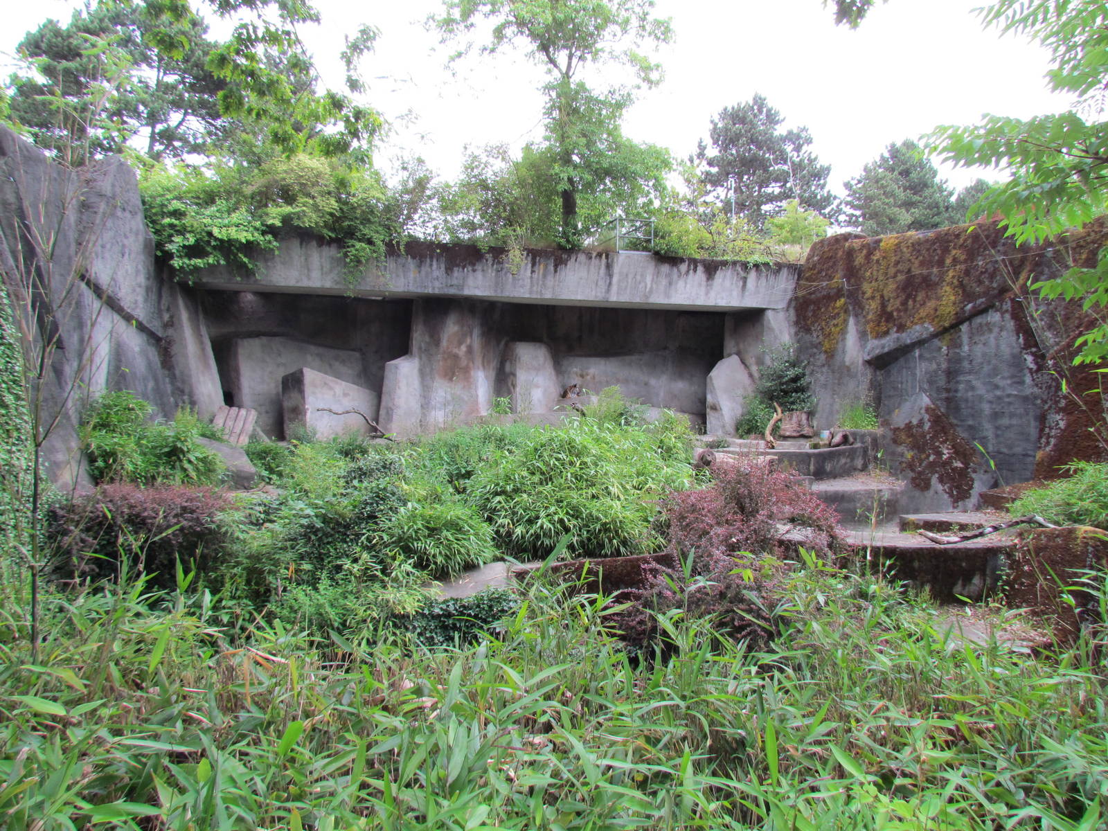 Sumatran Tiger Exhibit