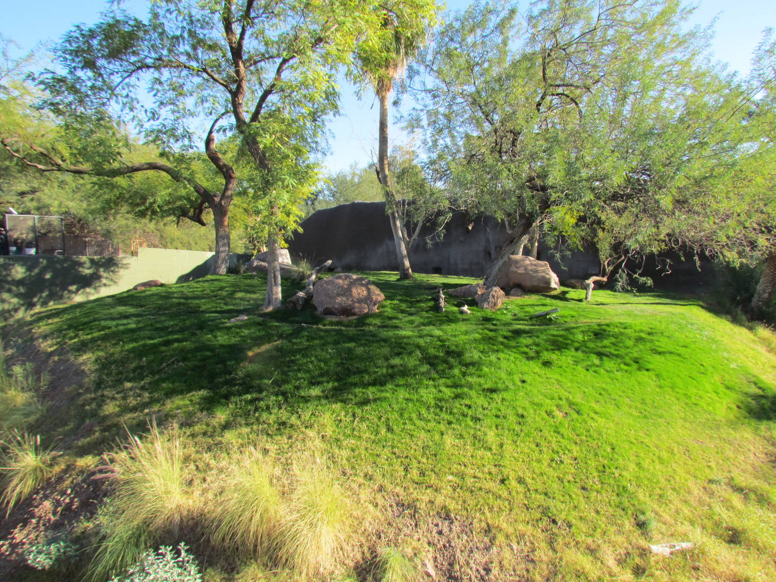 Sumatran Tiger Exhibit