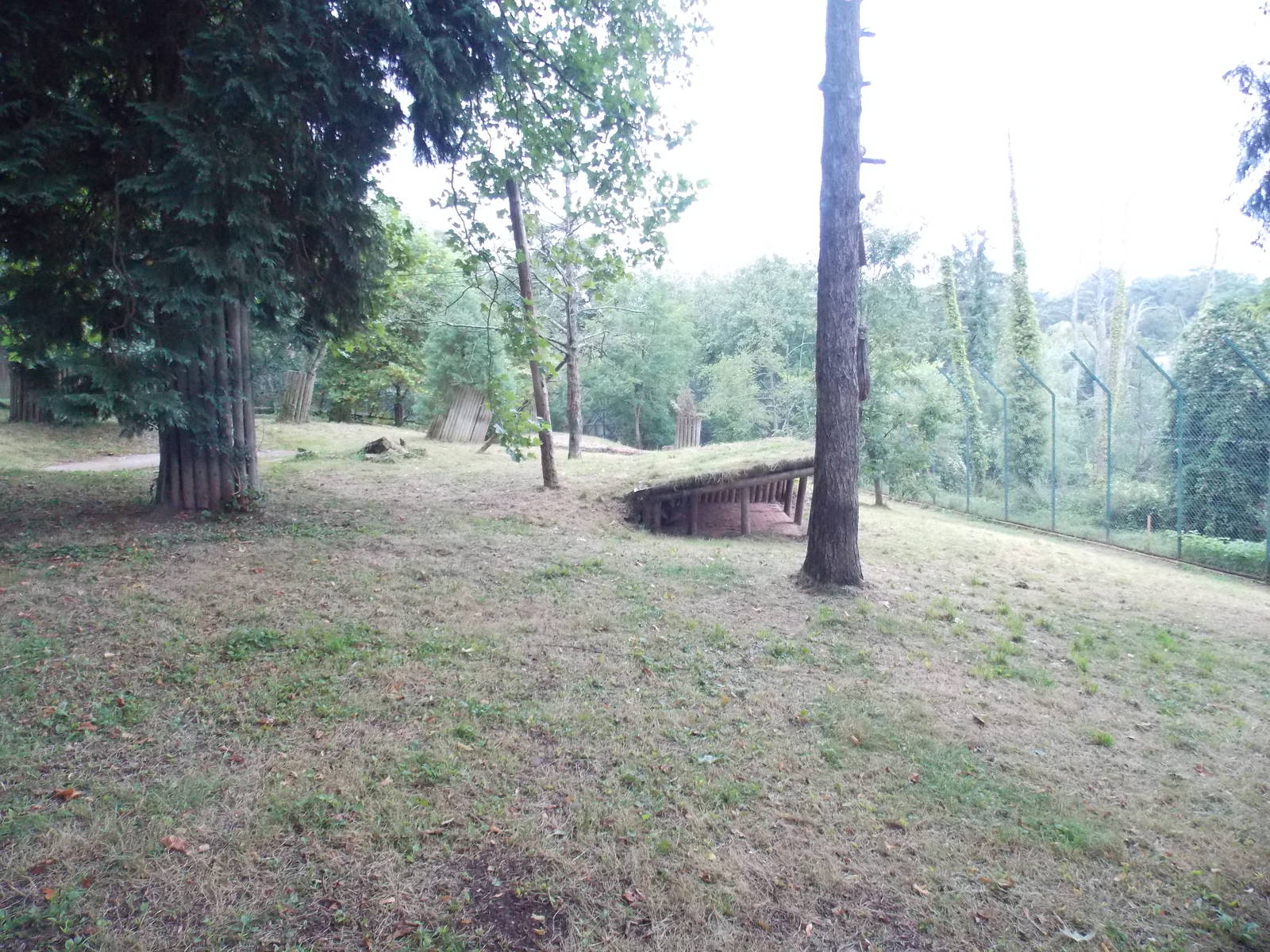 Sumatran Tiger Exhibit