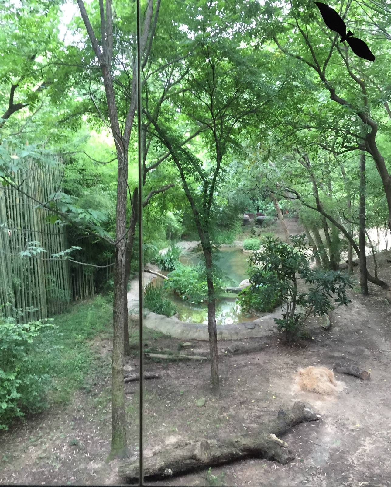 Sumatran Tiger Exhibit