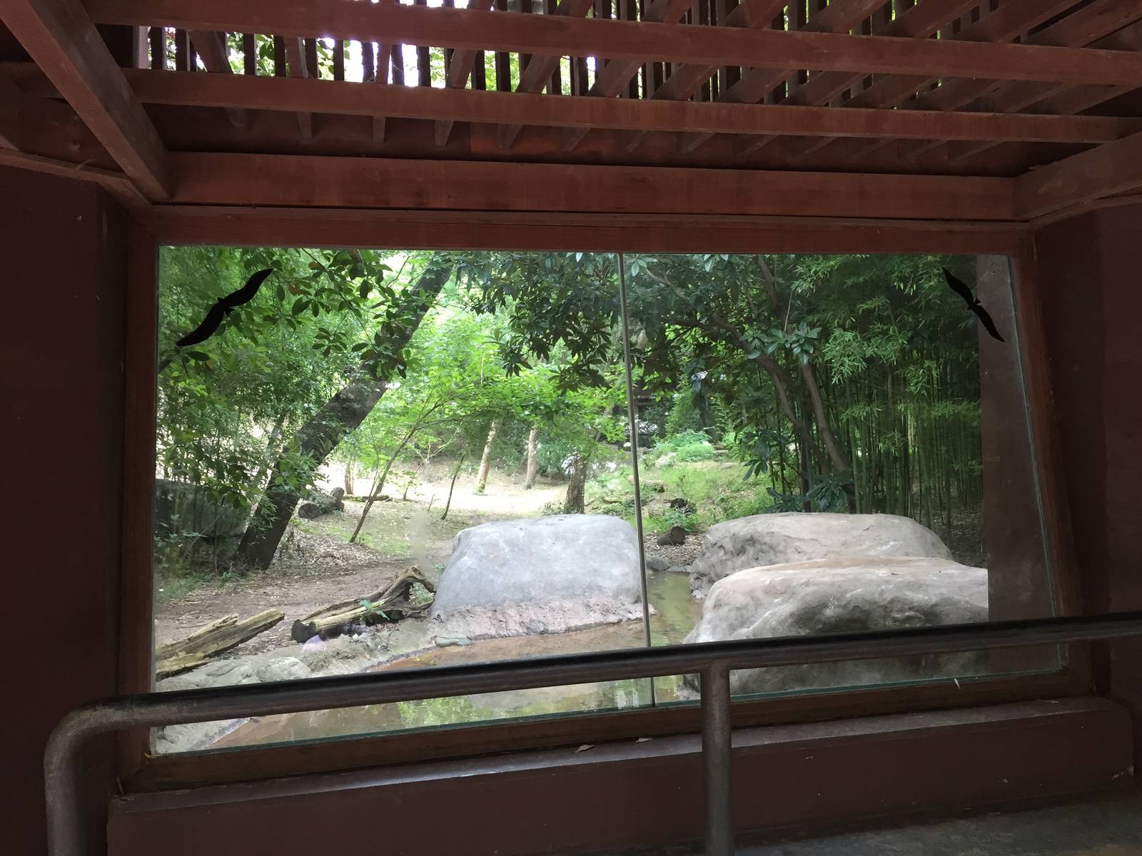 Sumatran Tiger Exhibit