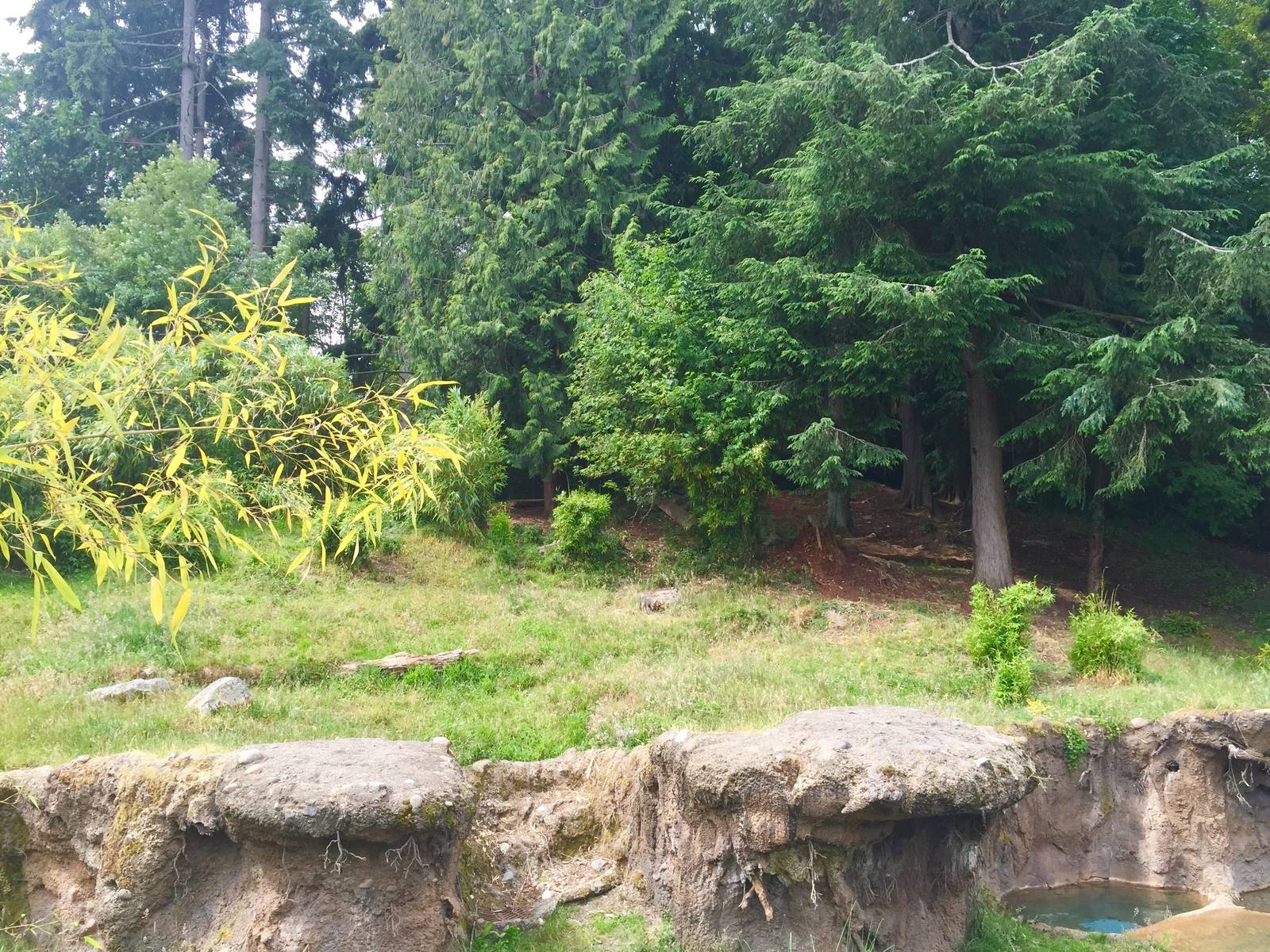 Sumatran Tiger Exhibit