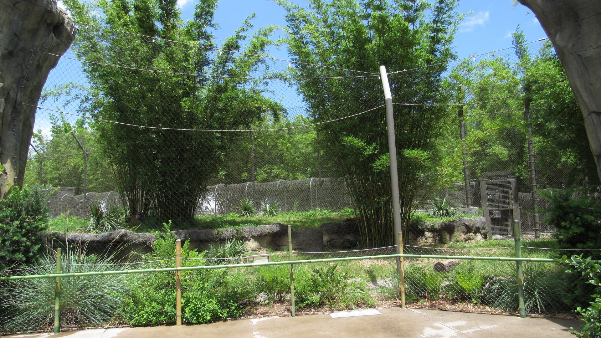 Sumatran Tiger Exhibit
