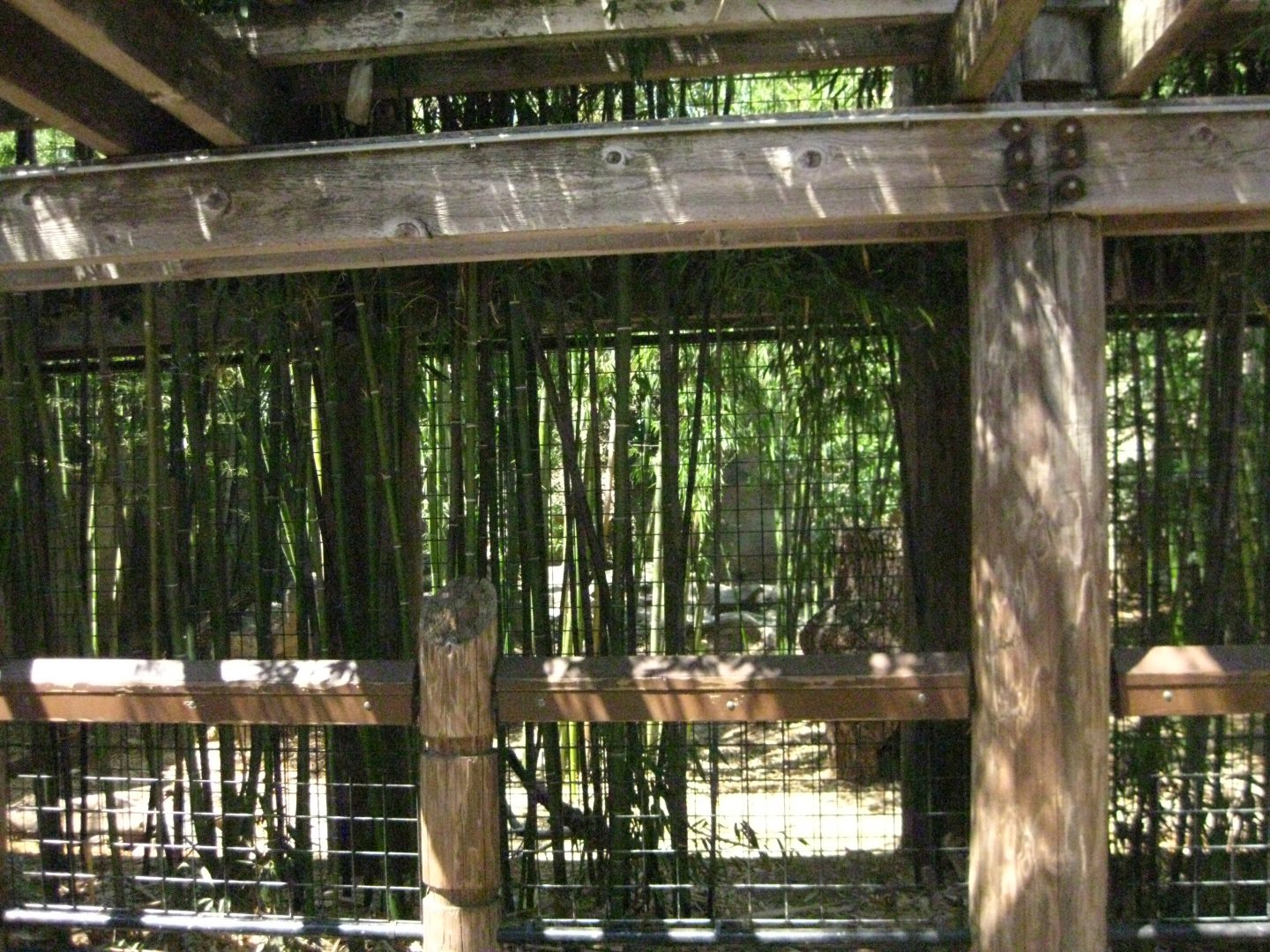 Sumatran Tiger Exhibit