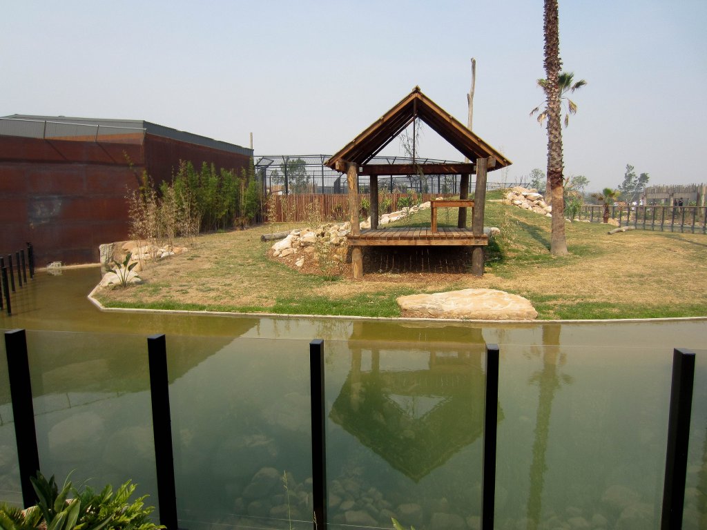 Sumatran Tiger exhibit