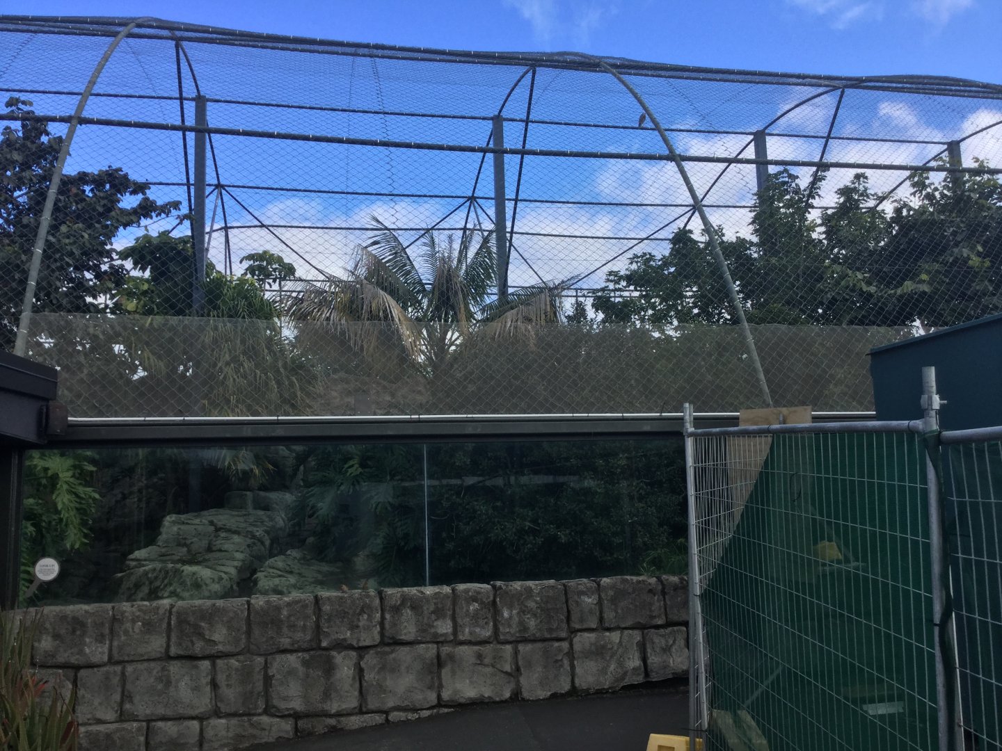 Sumatran Tiger Exhibit