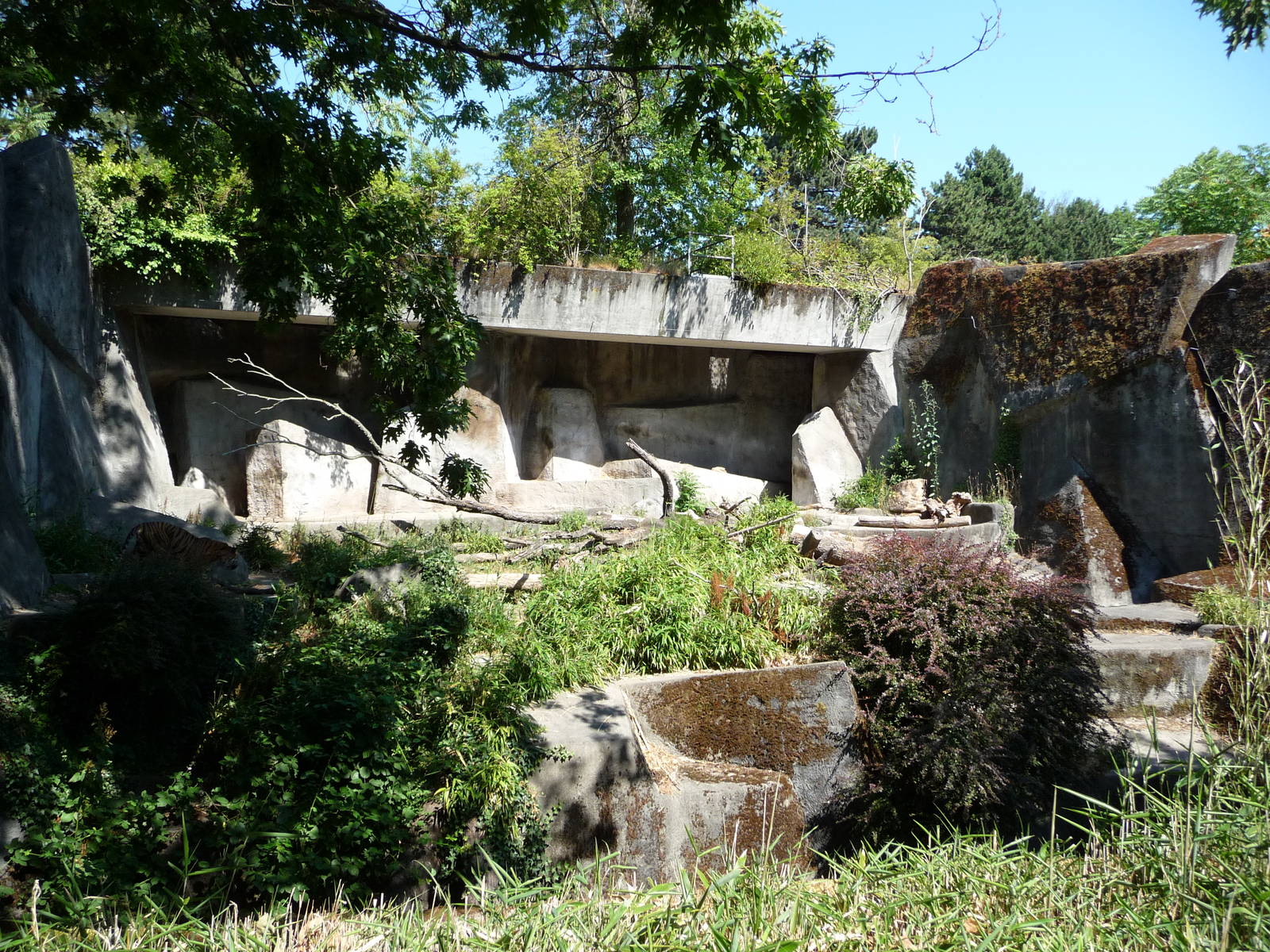 Sumatran Tiger Exhibit