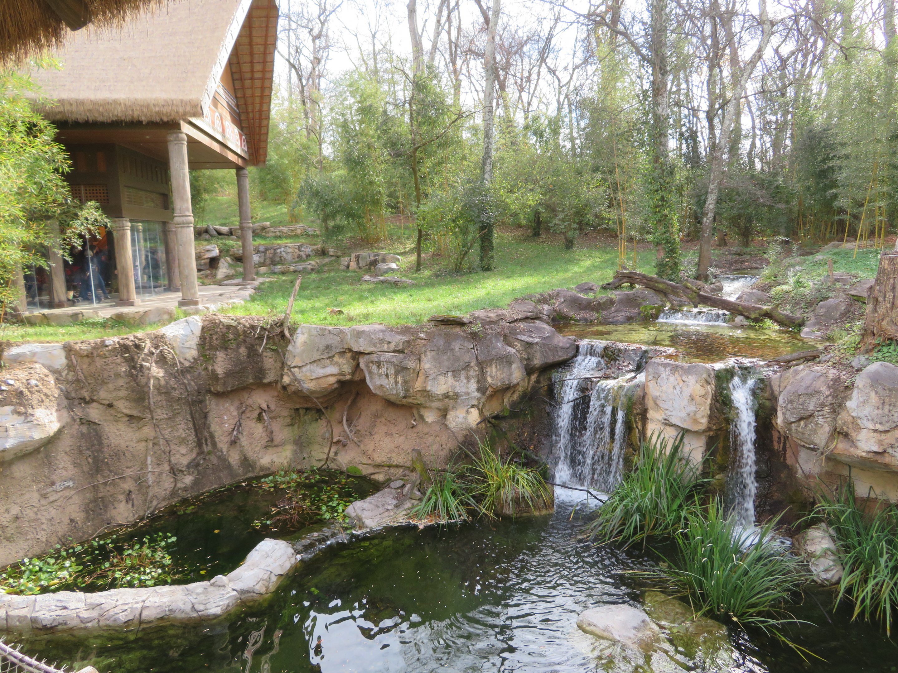 Sumatran Tiger Exhibit