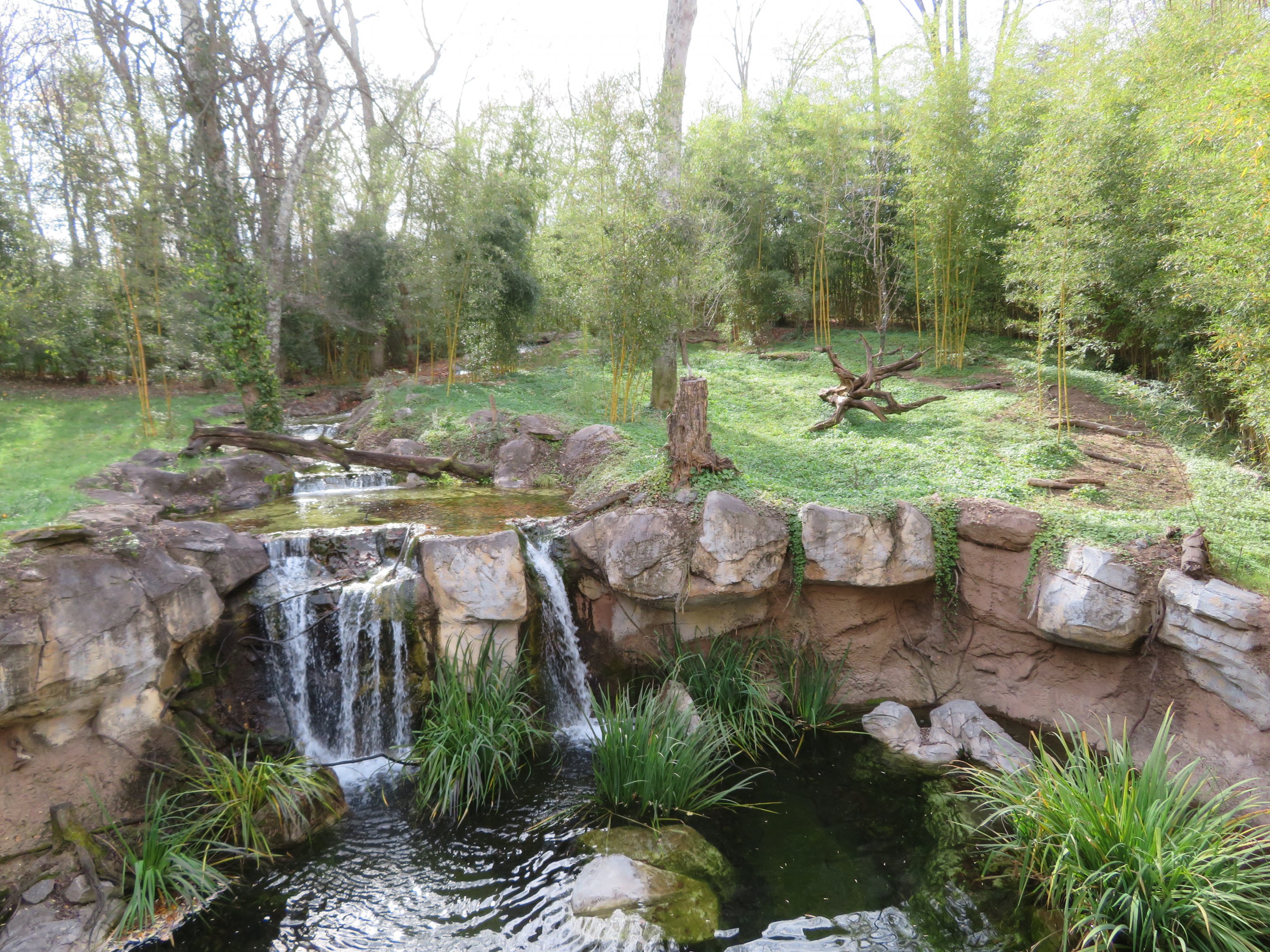 Sumatran Tiger Exhibit