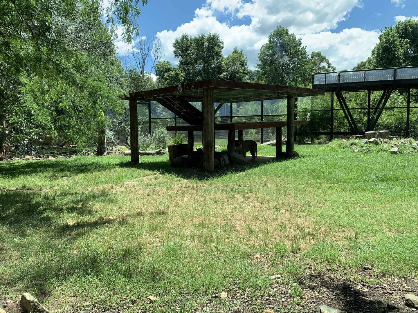 Sumatran Tiger Exhibit