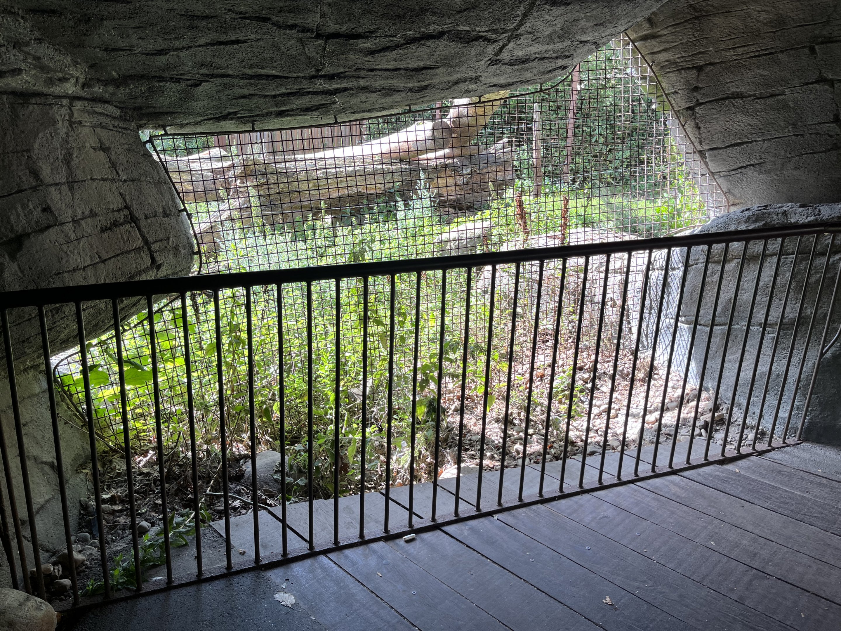 Sumatran Tiger Exhibit