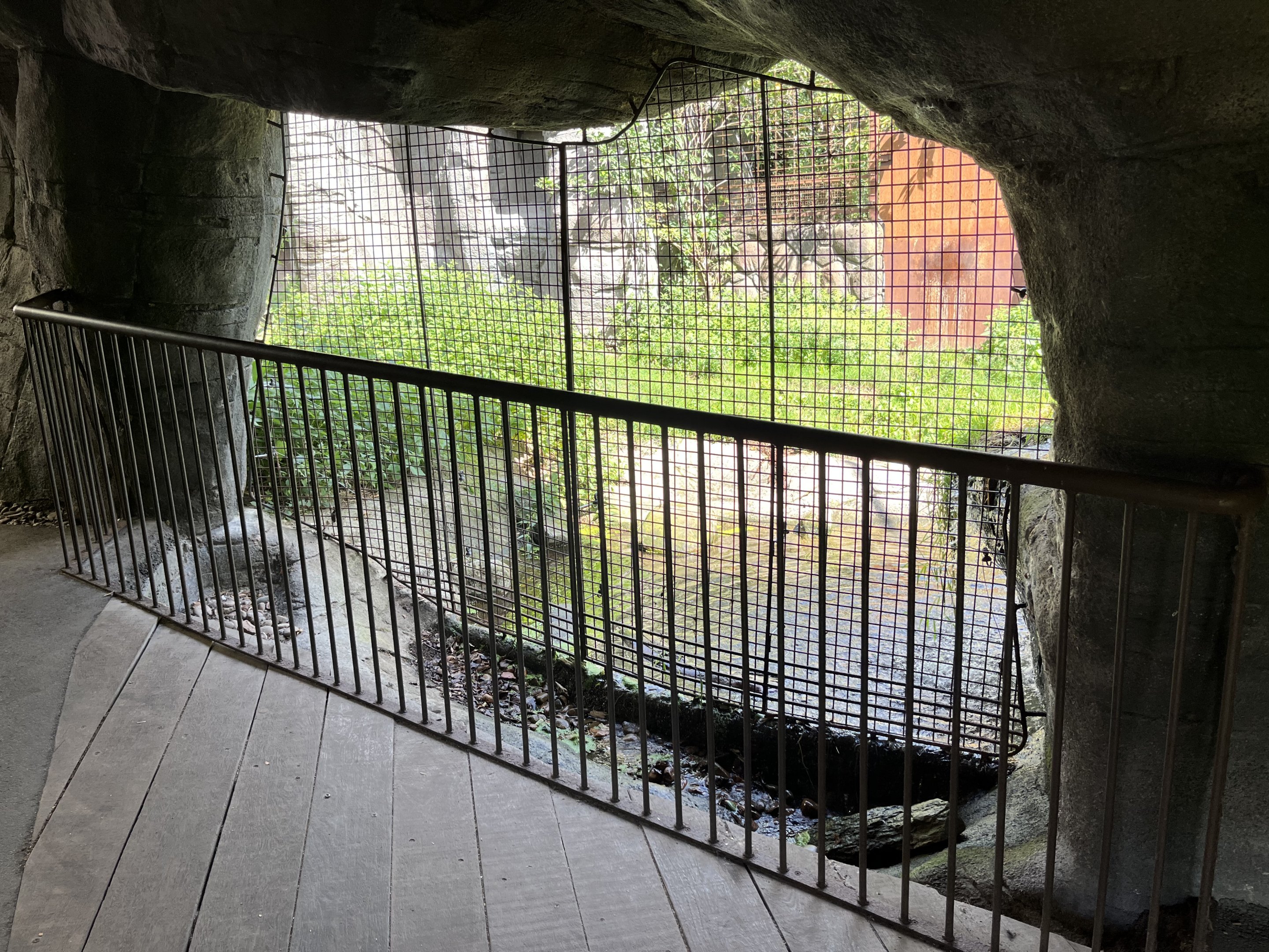 Sumatran Tiger Exhibit