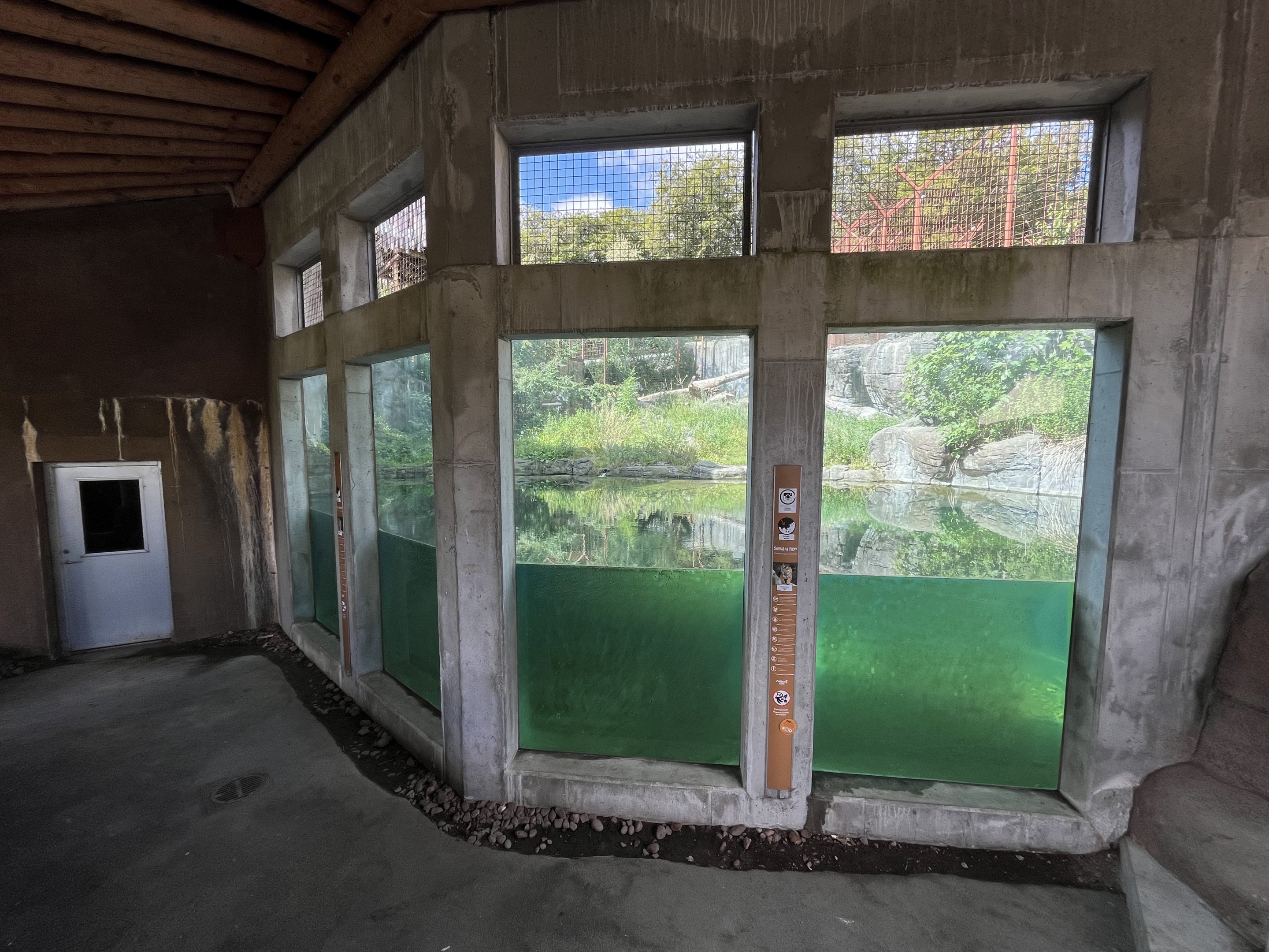 Sumatran Tiger Exhibit