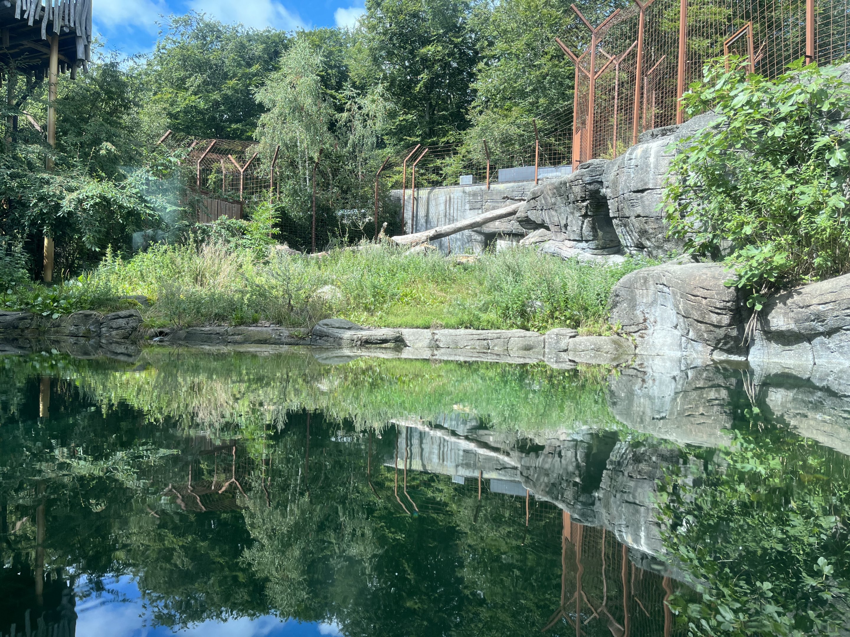 Sumatran Tiger Exhibit