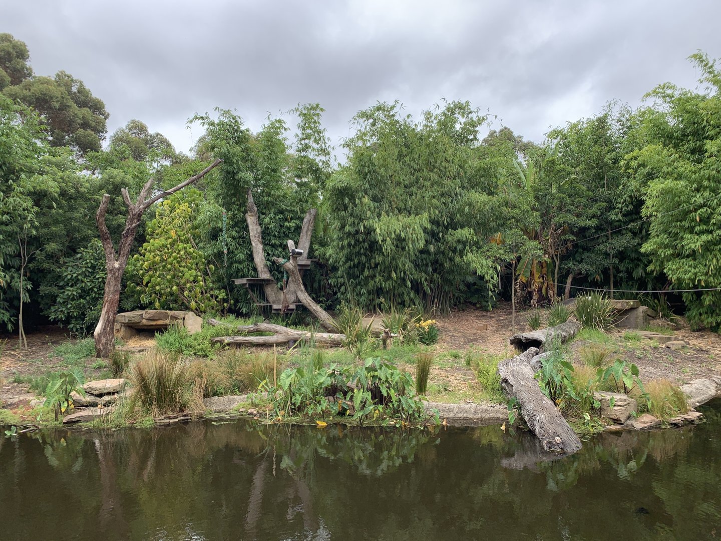 Sumatran Tiger Exhibit
