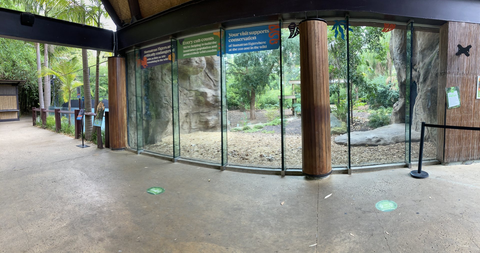 Sumatran tiger exhibit
