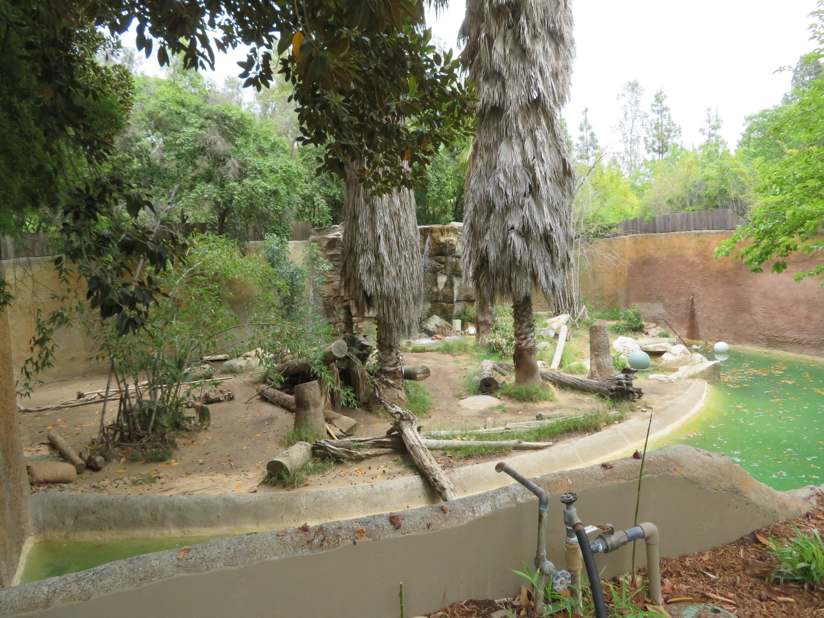 Sumatran Tiger Exhibit