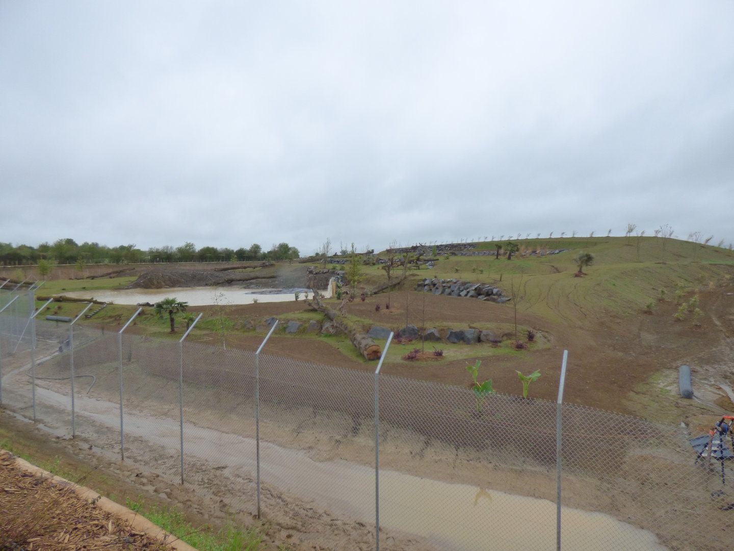 Sumatran tiger exhibit