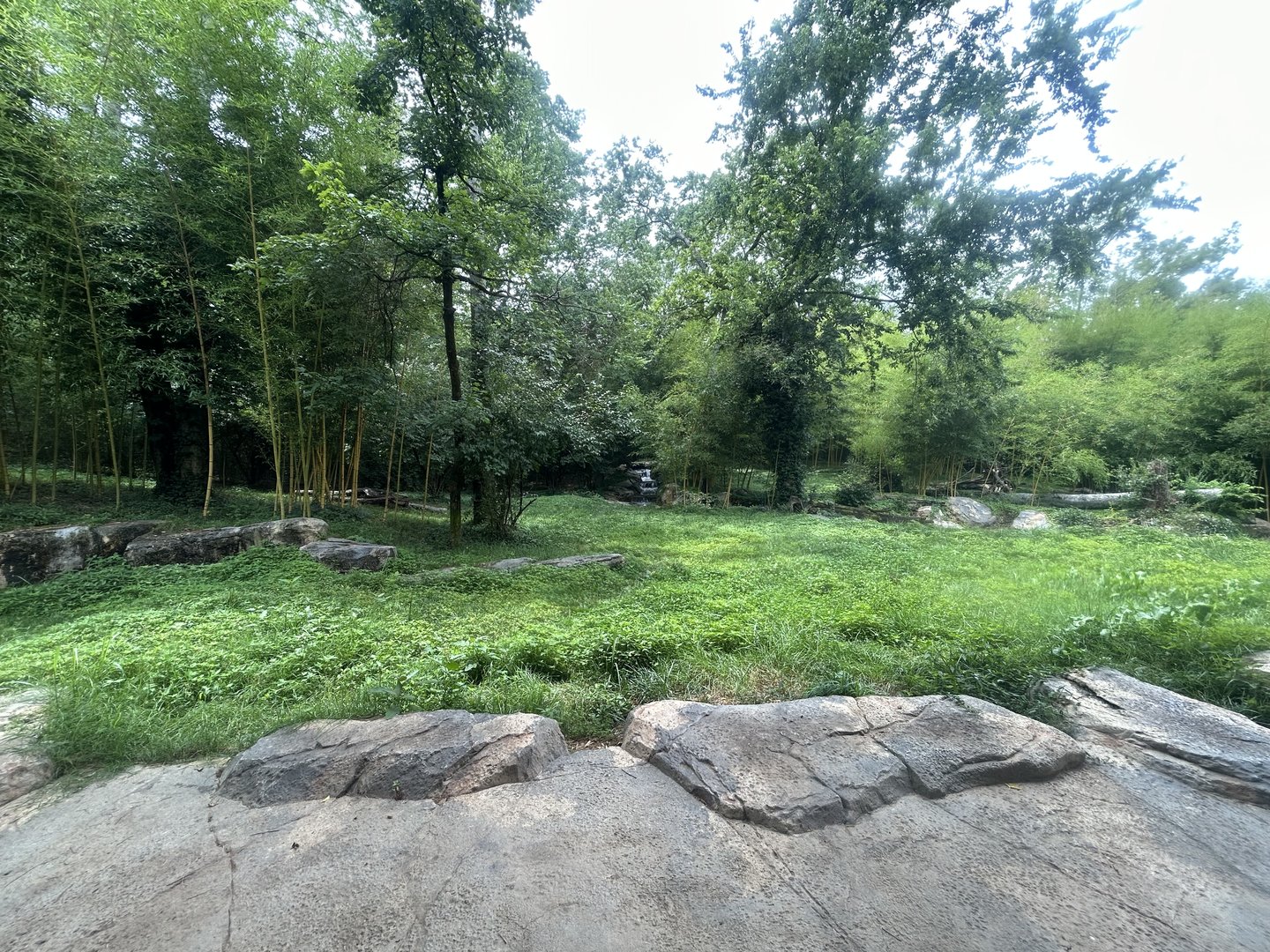 Sumatran Tiger Exhibit