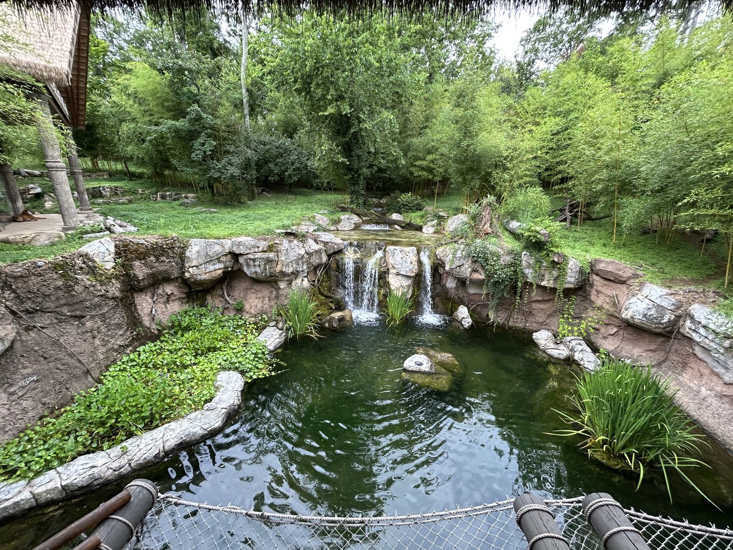 Sumatran Tiger Exhibit