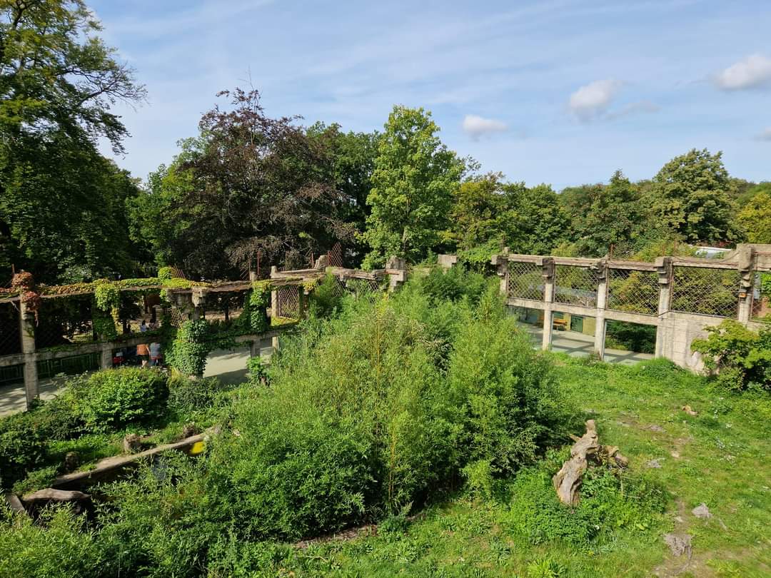 Sumatran Tiger exhibit