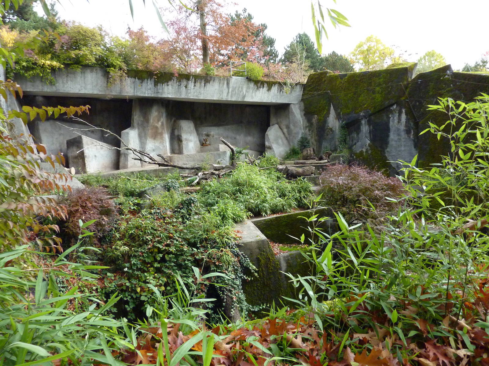 Sumatran Tiger Exhibit