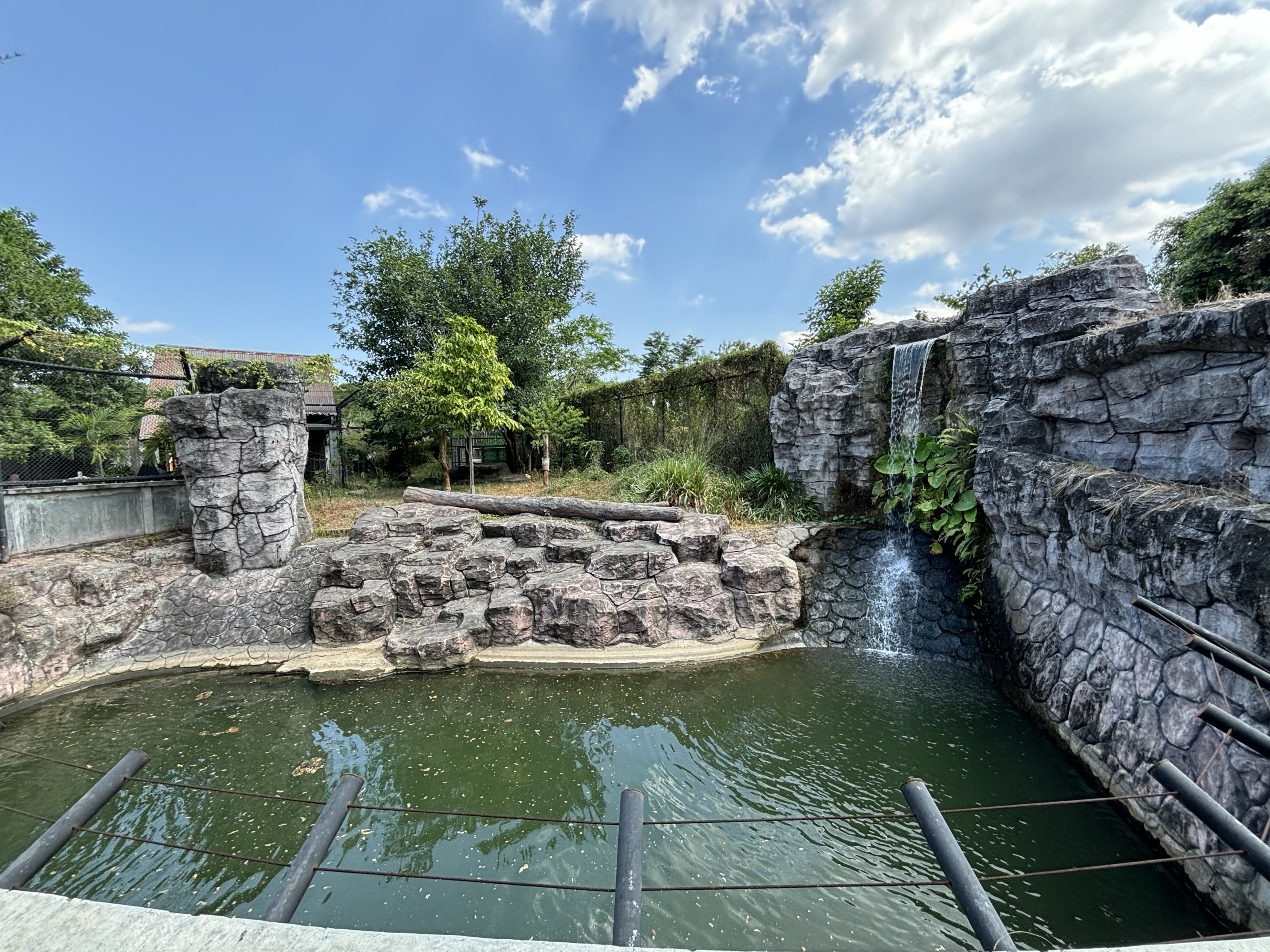 Sumatran Tiger Exhibit