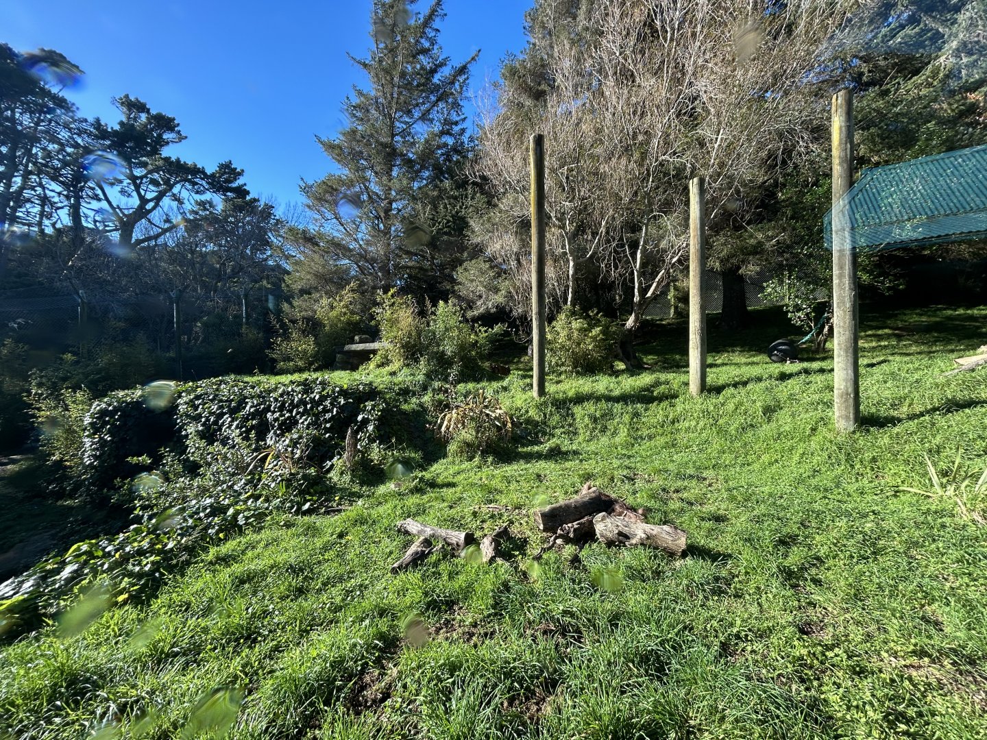 Sumatran Tiger Exhibit